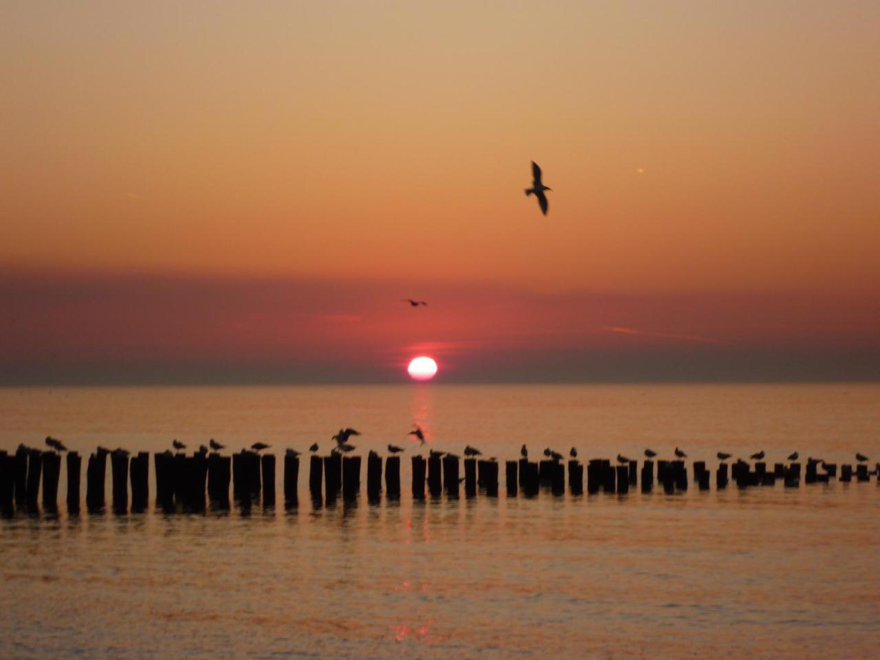 Prachtig Appartement Dichtbij Strand Do07 Domburg Zewnętrze zdjęcie
